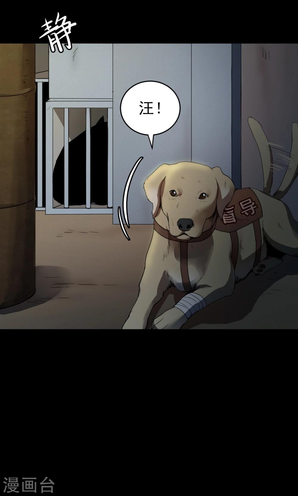 《密集黑洞》第52话 垃圾分类5 第13页