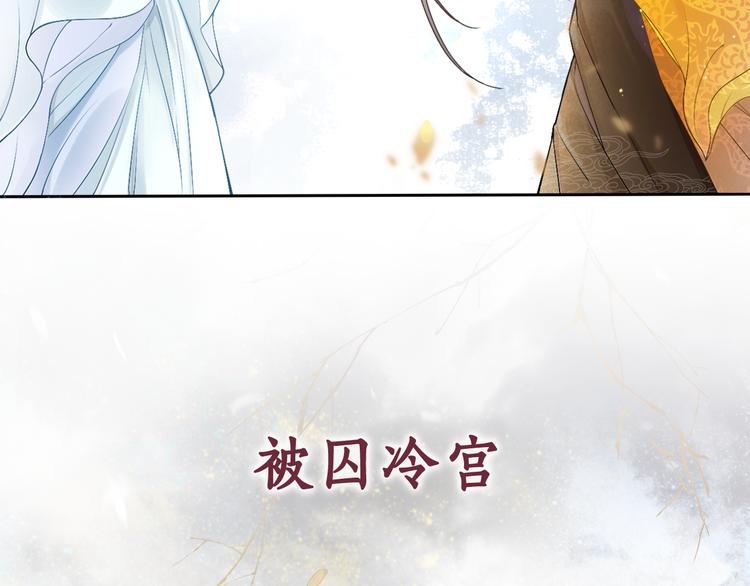 《盛宠医妃之摇光传》序章 废后重生，复仇开斗！ 第12页