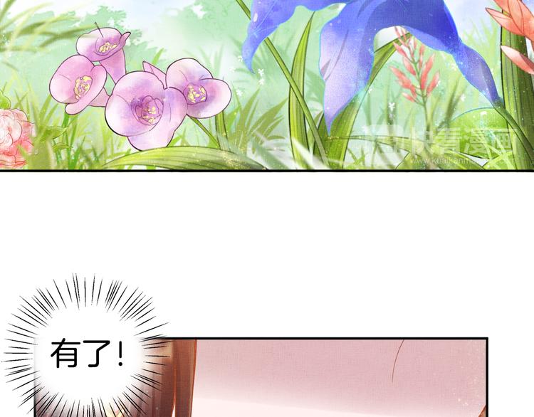 《盛宠医妃之摇光传》第11话 蜜蜂的最爱 第48页