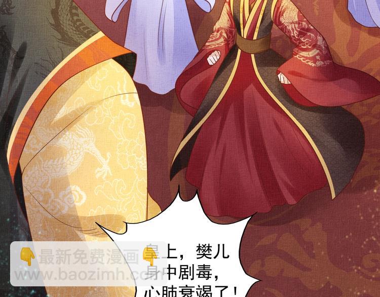 《盛宠医妃之摇光传》第33话 很重要的人 第13页