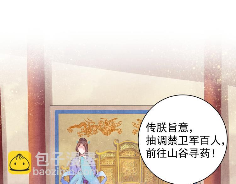 《盛宠医妃之摇光传》第33话 很重要的人 第28页