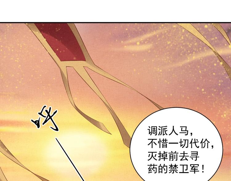 《盛宠医妃之摇光传》第33话 很重要的人 第39页