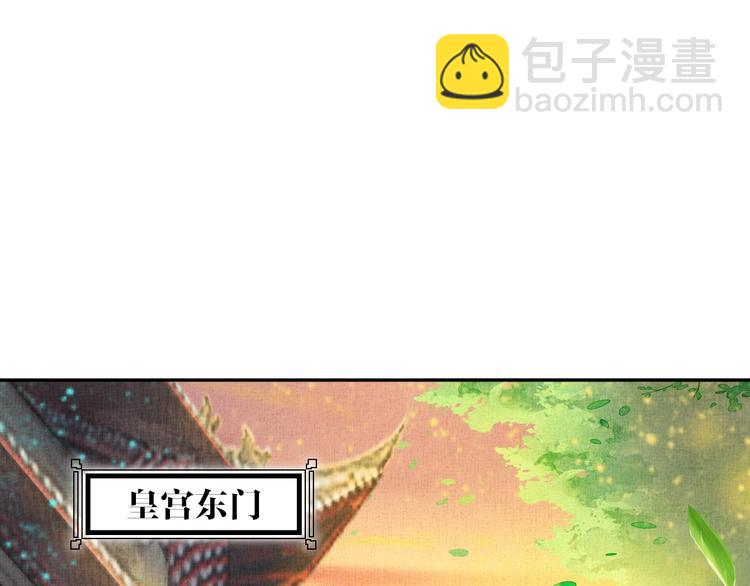 《盛宠医妃之摇光传》第33话 很重要的人 第44页
