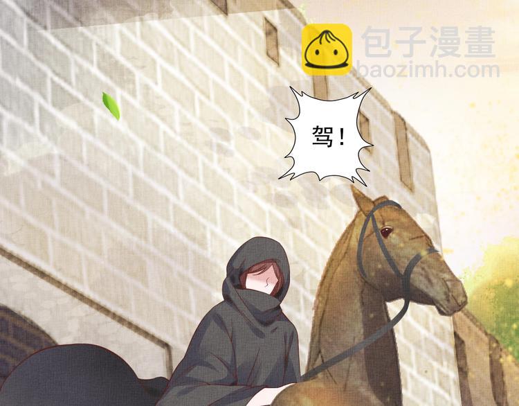 《盛宠医妃之摇光传》第33话 很重要的人 第46页