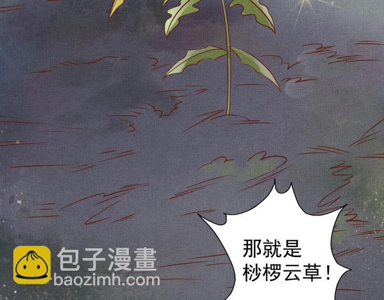 《盛宠医妃之摇光传》第36话 休想甩开我 第45页