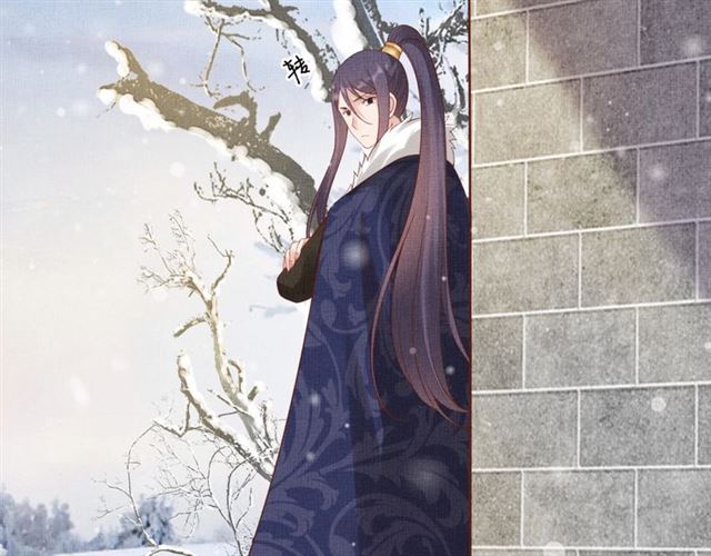 《盛宠医妃之摇光传》第75话 坑的就是你 第13页