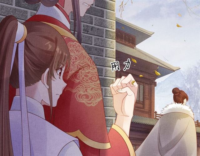 《盛宠医妃之摇光传》第79话 到底谁是夫人 第36页