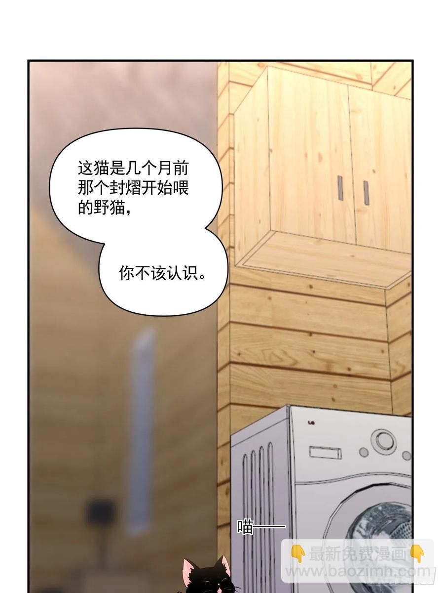 《心缚》49 一起收养 第17页