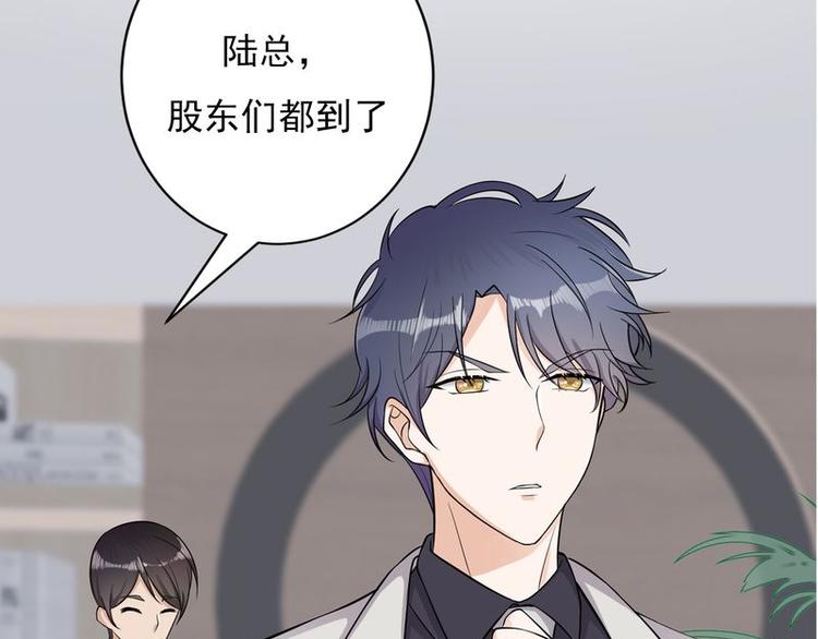 《宠妻成瘾陆少的心尖宠》序章 第47页