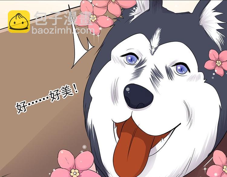 《宠妻成瘾陆少的心尖宠》第14话遇见你也是我的幸运 第20页