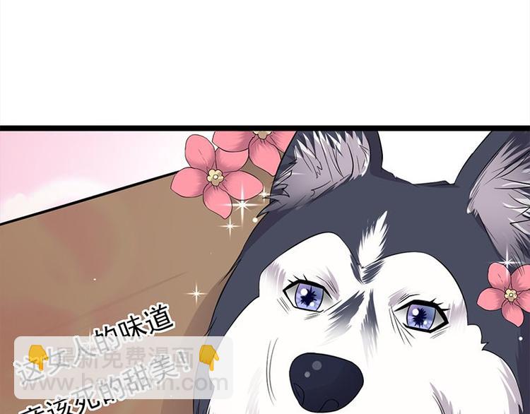 《宠妻成瘾陆少的心尖宠》第14话遇见你也是我的幸运 第26页