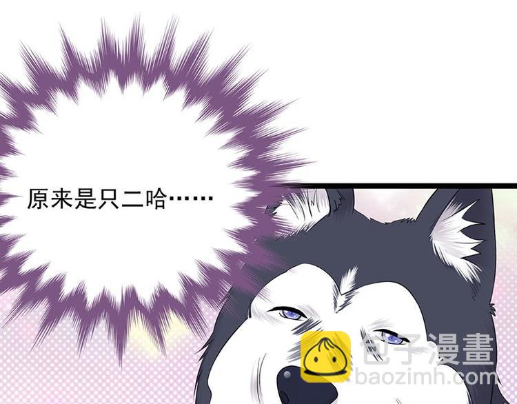 《宠妻成瘾陆少的心尖宠》第14话遇见你也是我的幸运 第3页