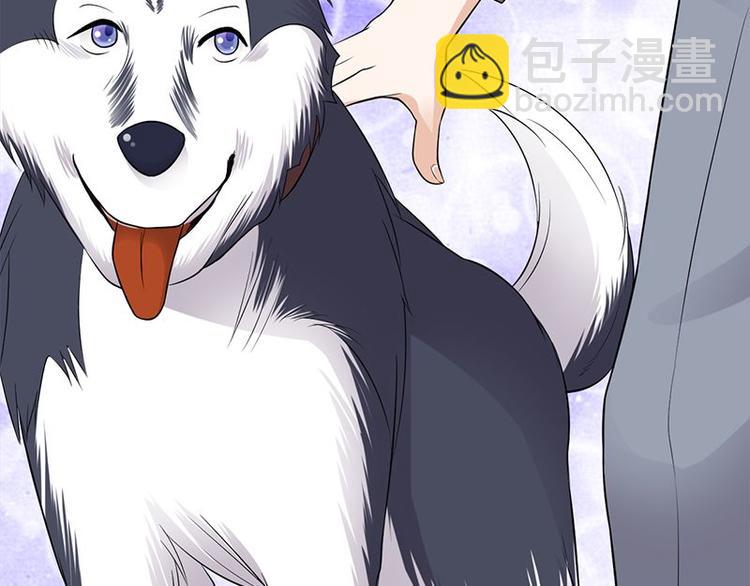 《宠妻成瘾陆少的心尖宠》第14话遇见你也是我的幸运 第43页