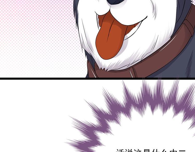 《宠妻成瘾陆少的心尖宠》第14话遇见你也是我的幸运 第4页