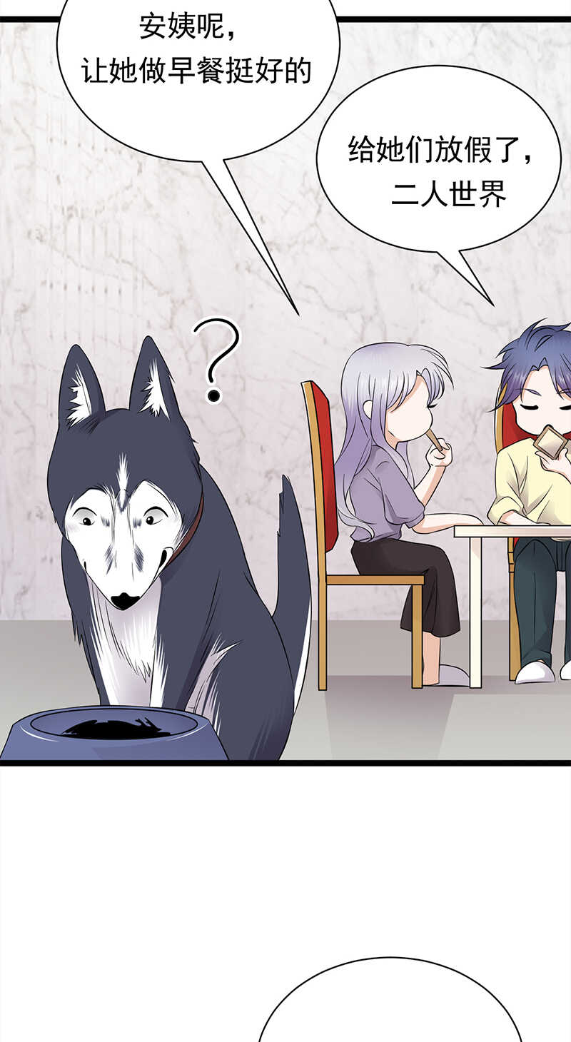 《宠妻成瘾陆少的心尖宠》第37话O型血感觉有被冒犯到 第20页