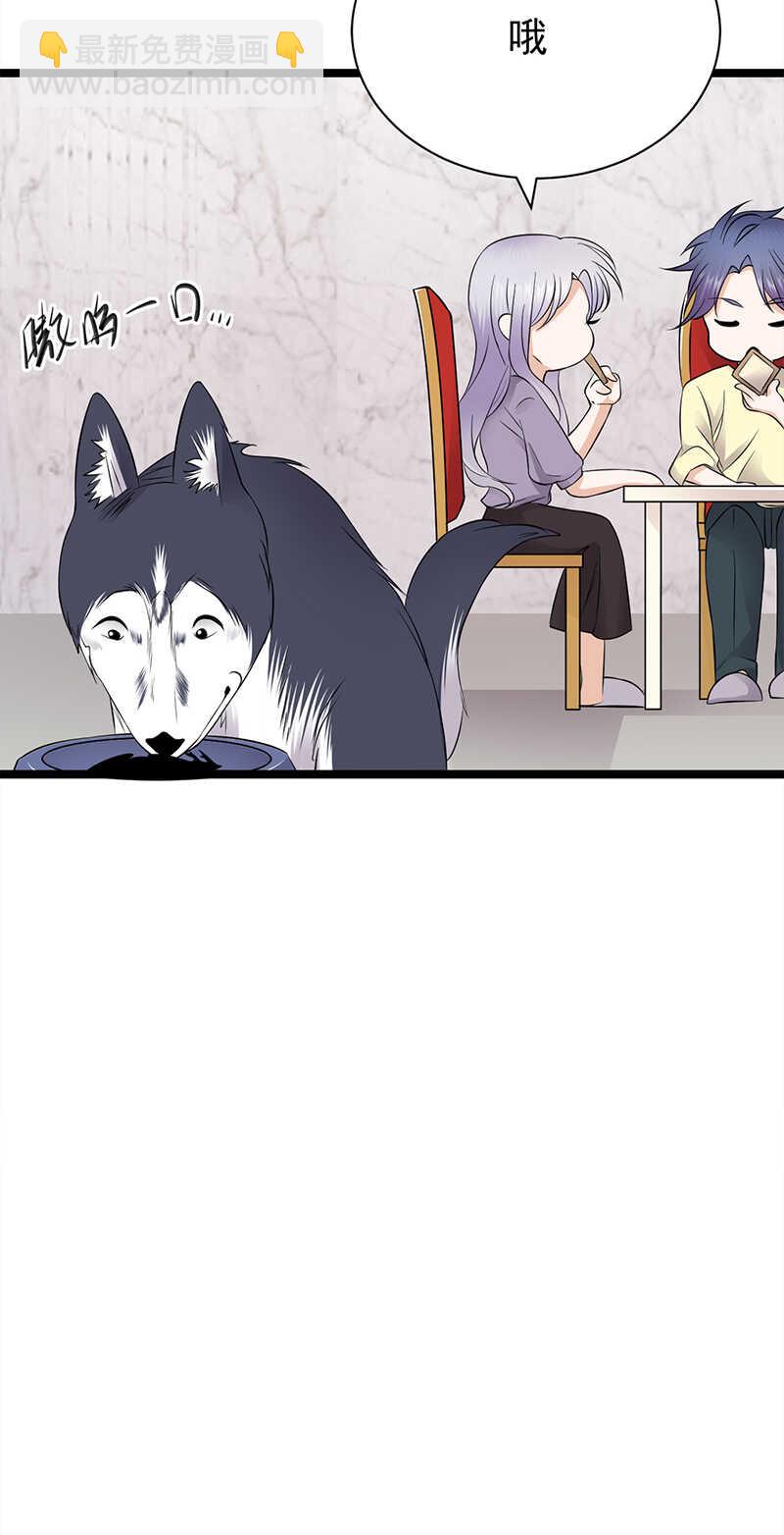 《宠妻成瘾陆少的心尖宠》第37话O型血感觉有被冒犯到 第21页