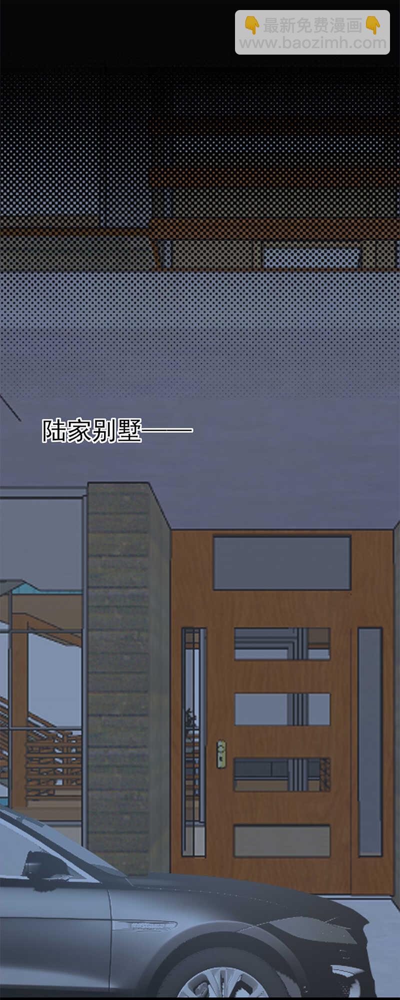《宠妻成瘾陆少的心尖宠》第53话奇怪的知识增加了 第10页