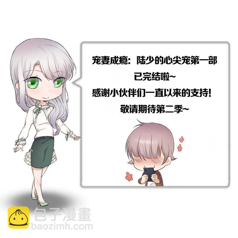 《宠妻成瘾陆少的心尖宠》第100话完结篇 下 第29页