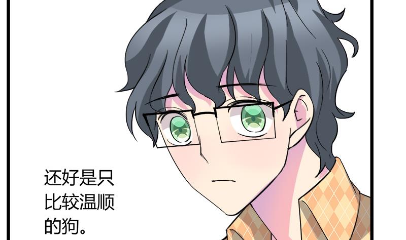 《灰姑娘的阴谋》第75话 猫少女 第11页