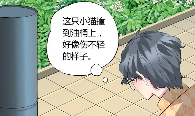 《灰姑娘的阴谋》第75话 猫少女 第13页