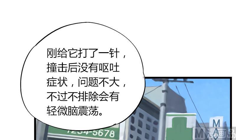 《灰姑娘的阴谋》第75话 猫少女 第15页