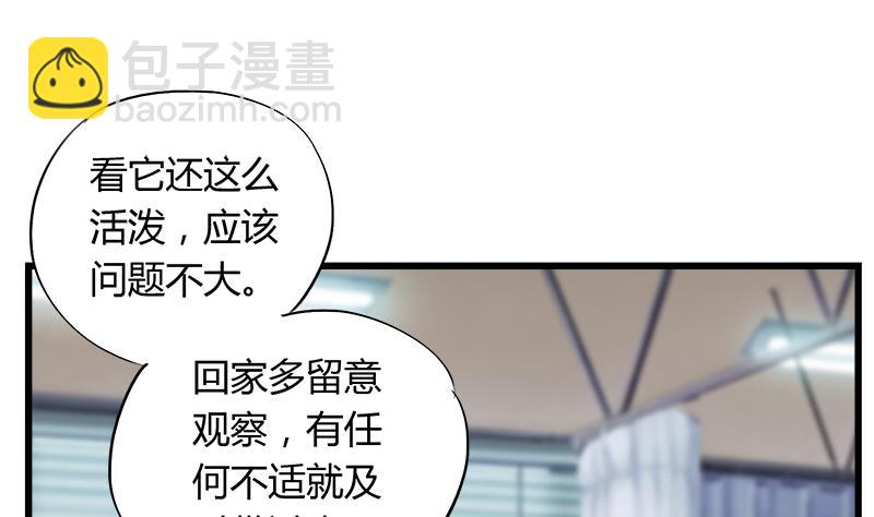 《灰姑娘的阴谋》第75话 猫少女 第17页