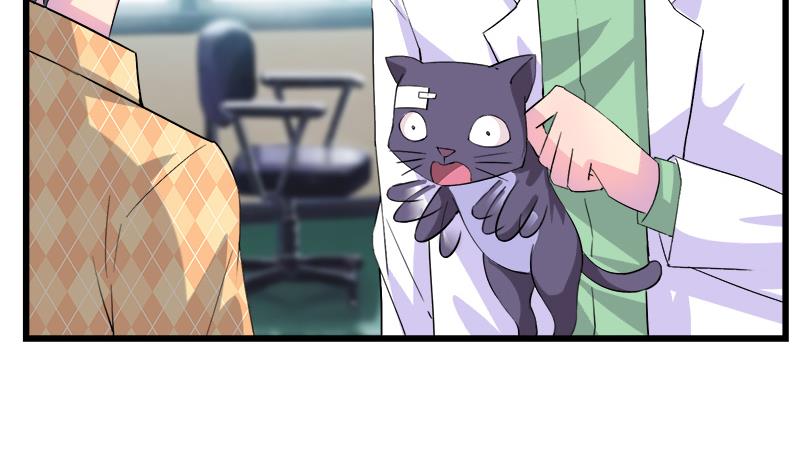 《灰姑娘的阴谋》第75话 猫少女 第19页