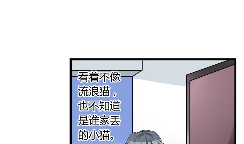 《灰姑娘的阴谋》第75话 猫少女 第22页