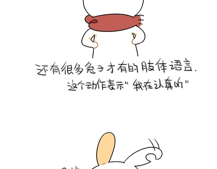 《破耳兔》第48话小兔子们的生活 第4页