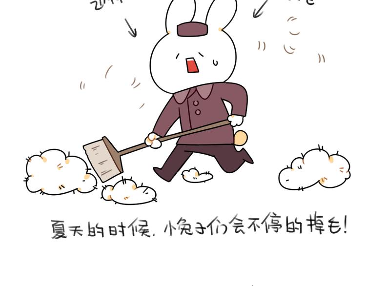 《破耳兔》第48话小兔子们的生活 第6页
