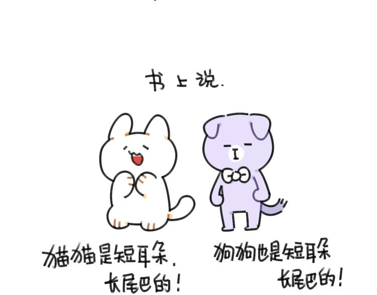 《破耳兔》第46话外星兔子 第2页