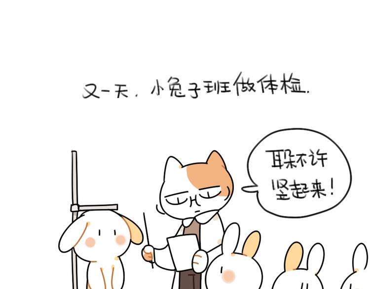 《破耳兔》第49话因为我毛茸茸的呀 第5页