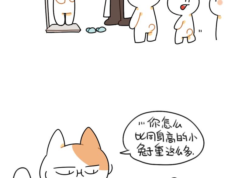 《破耳兔》第49话因为我毛茸茸的呀 第6页