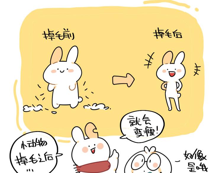 《破耳兔》第83话谁可以带走我的肥肉 第6页