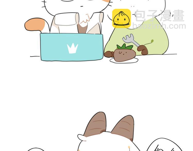《破耳兔》第93话猫是一种神奇的生物 第10页