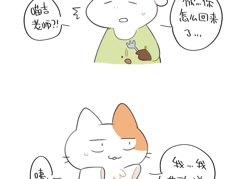 《破耳兔》第93话猫是一种神奇的生物 第11页