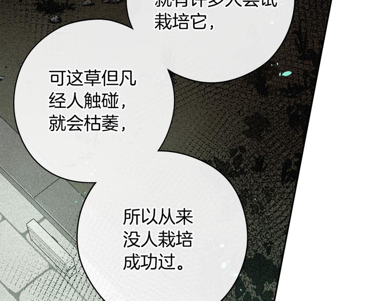 《我才不嫁皇太子！》第49话 女侠求放过！ 第28页