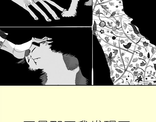 《毛绒绒》第3话 也许我只适合跟它做朋友 第40页