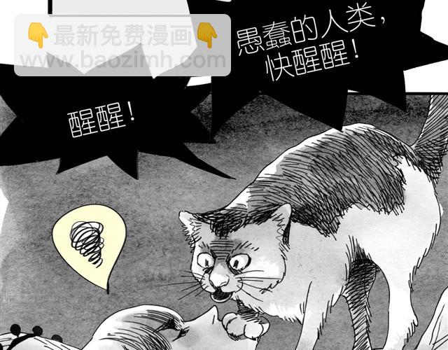 《毛绒绒》第9话 我的床上多了一个男生 第13页
