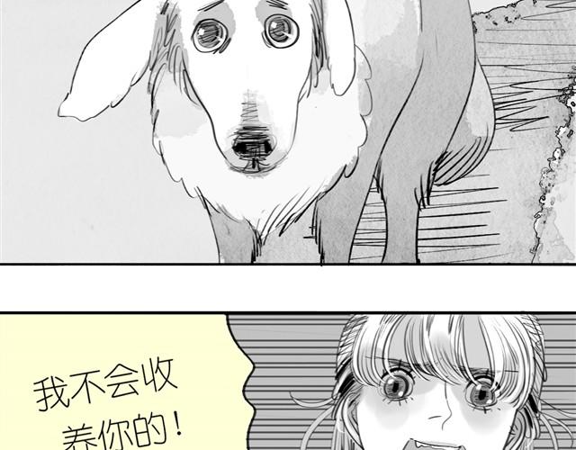 《毛绒绒》第24话 我竟然把阿汪丢下了 第10页