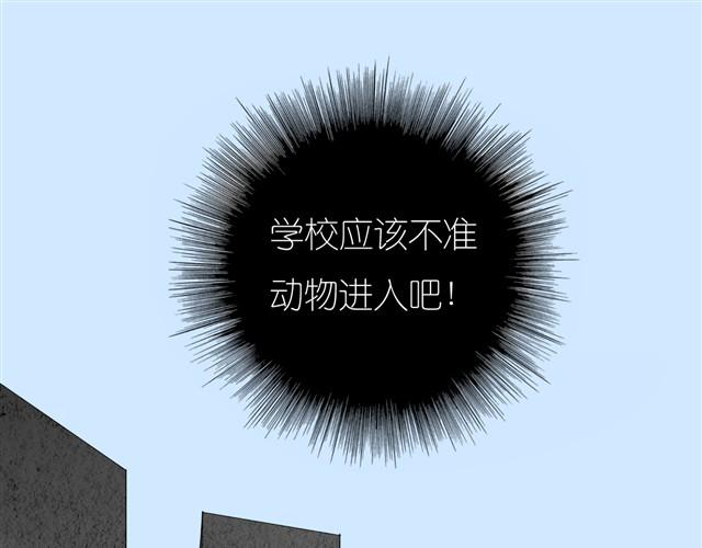 《毛绒绒》第23话 不准玩我的狗！ 第1页