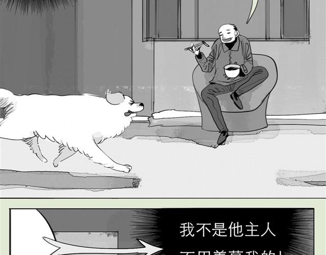 《毛绒绒》第23话 不准玩我的狗！ 第3页