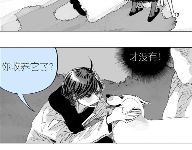 《毛绒绒》第23话 不准玩我的狗！ 第9页