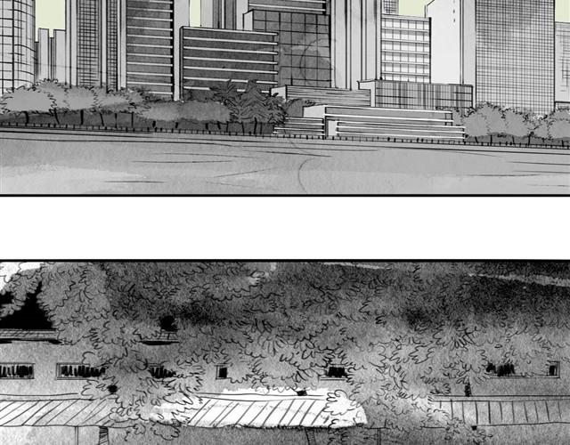 《毛绒绒》第25话 找不到阿汪了…… 第13页