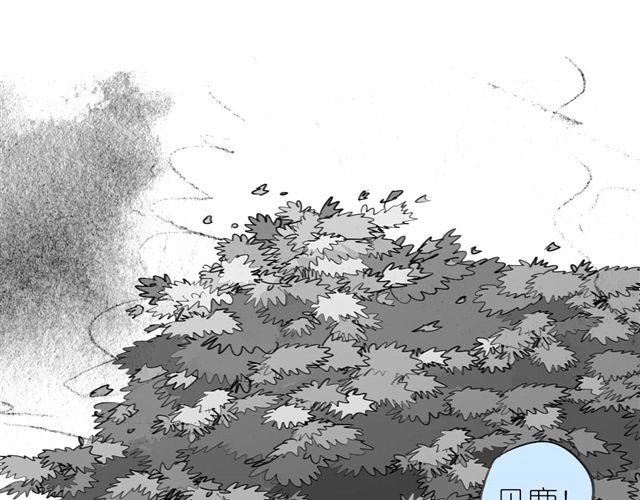 《毛绒绒》第41话 恋爱的花儿开了 第13页