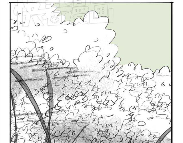 《毛绒绒》第47话 找到贝鹿了！ 第15页