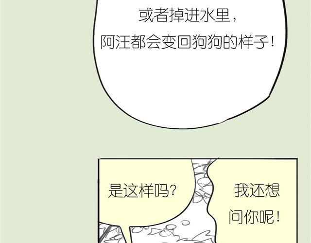《毛绒绒》第49话 总是视我为最重要的 第2页