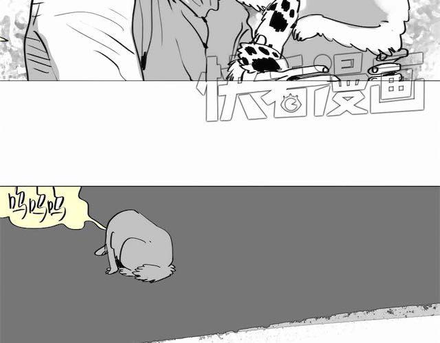 《毛绒绒》第57话 那是很早以前的事了 第16页