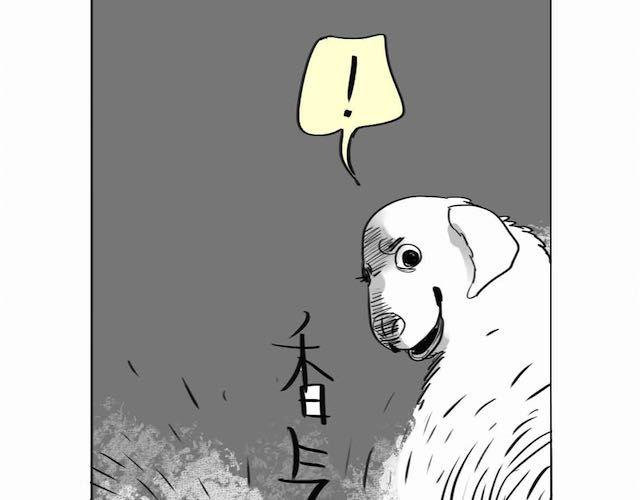 《毛绒绒》第57话 那是很早以前的事了 第19页