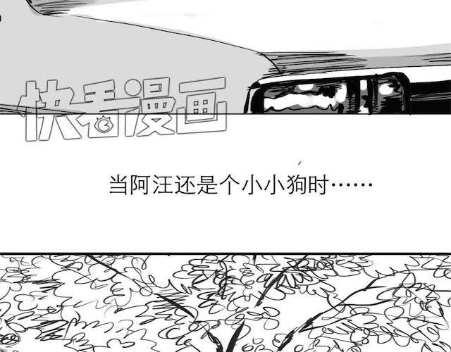 《毛绒绒》第57话 那是很早以前的事了 第3页